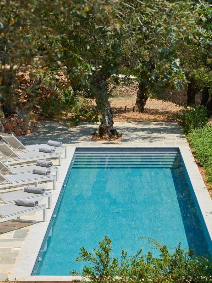 לינה וארוחת בוקר קרדמילי Patrick & Joan Leigh Fermor House מראה חיצוני תמונה
